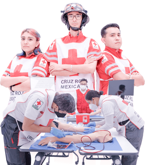 Áreas de Capacitación